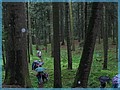 foto50.jpg